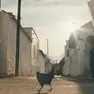 Un fotogramma del film "Hen – Storia di una gallina"