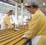 Una linea produttiva di Nuova Industria Biscotti Crich