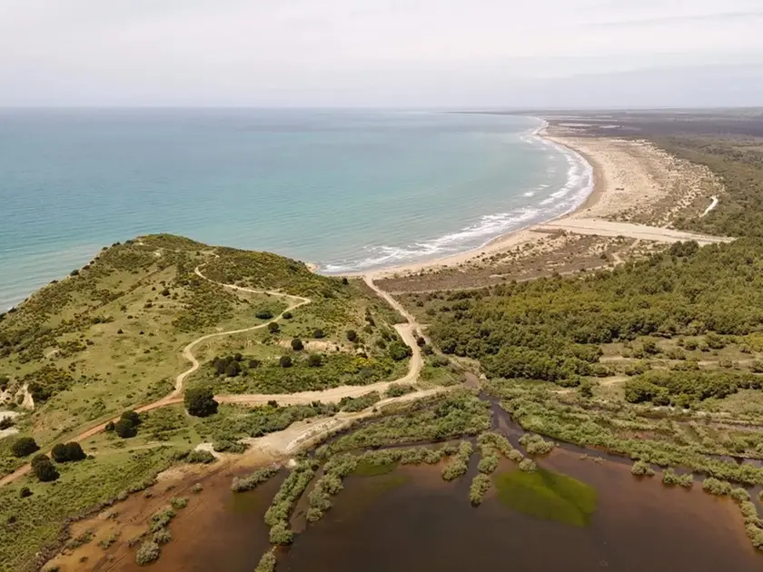 La laguna di Vjosa-Narta (foto birdlife)