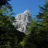 Uno scorcio del grande bosco della Serenissima sulle Dolomiti