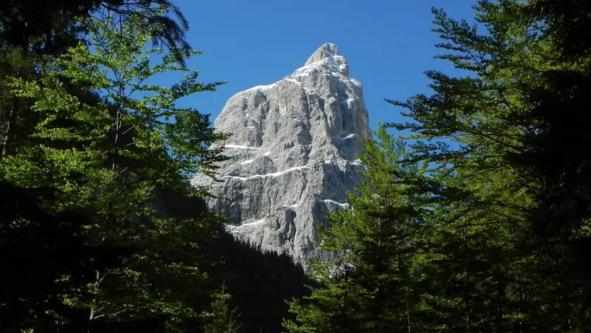 Uno scorcio del grande bosco della Serenissima sulle Dolomiti