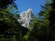 Uno scorcio del grande bosco della Serenissima sulle Dolomiti