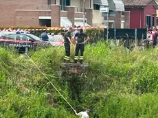 I vigili del fuoco al lavoro a San Stino di Livenza nel punto in cui il nipote ha detto di aver scaricato nel fiume il cadavere della zia