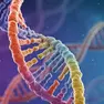 Uno studio dell’Università di Padova chiarisce come si formano strutture del Dna