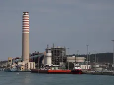 I lavori alla centrale A2A a Monfalcone, che passerà dal carbone al gas (F. Bonaventura)