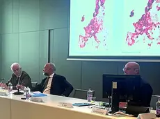 La presentazione del report di Bankitalia nella sede della Fondazione Friuli a Udine