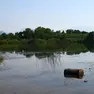 Lungo le strade battute dagli antichi pellegrini alla scoperta di piccoli compendi della natura del Friuli Venezia Giulia. In una calda giornata di metà giugno abbiamo percorso un tratto del cammino millenario, la via Romea Strata, che dal Nord est conduce a Roma. Un passo dopo l’altro, scandendo il tempo andato animato dai romani dediti ai commerci e da tutti coloro che nei secoli contribuirono a scrivere una pagina di storia. Non ultimi i soldati impegnati nel 1915-18 nella Grande guerra e tanto meno maestranze che con il loro saper fare costruirono il ponte sul Tagliamento, il grande fiume naturale, che collega la nostra regione al Veneto.