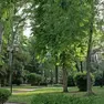Uno dei giardini di Venezia