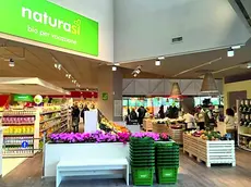 L'interno di uno dei negozi di Natura Sì
