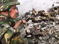 Una fossa comune trovata a Velika Krusa in Kosovo