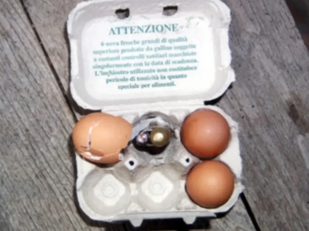 Il 31 ottobre 2000, Giorgio Mandinelli acquista una confezione di uova nel supermercato ''Continente'' di Portogruaro (Venezia); s' insospettisce e scopre che contiene un ordigno, che viene poi disinnescato dagli artificieri