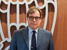Vincenzio Marinese, Confindustria