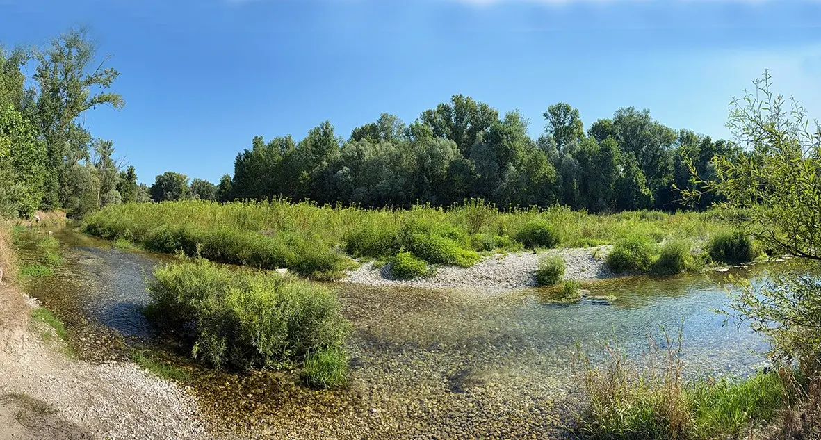 Un'ansa del Brenta all'altezza di Grantorto, provincia di Padova
