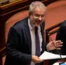 Claudio Borghi in Senato (foto Ansa)