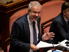 Claudio Borghi in Senato (foto Ansa)