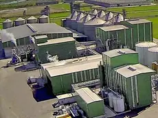 L'Oleificio San Giorgio è controllato dal gruppo veneto Crich