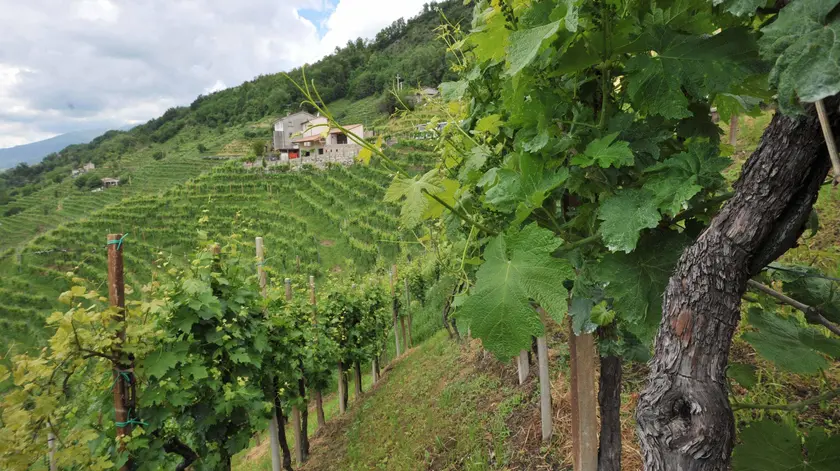 Il Prosecco scopre nuove rotte