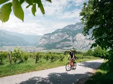 Per il gravel, il Trentino offre una rete di percorsi facili o severi