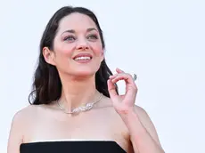 Marion Cotillard