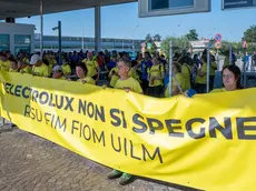 I lavoratori dell'Electrolux in sciopero a Porcia