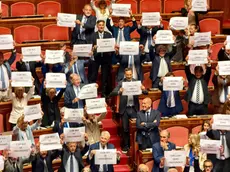 Cartelli esposti da Fratelli d'Italia dopo il voto in Senato