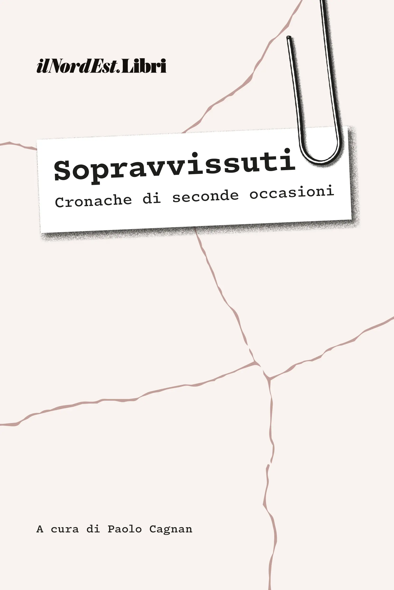 Sopravvissuti - Cronache di seconde occasioni: la copertina del libro