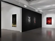 La mostra di Borondo