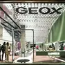 La vetrina di un negozio Geox