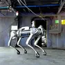 Uno dei cani robot che opera all'interno del cantiere navale di Monfalcone