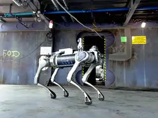 Uno dei cani robot che opera all'interno del cantiere navale di Monfalcone