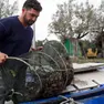 La pesca delle moeche