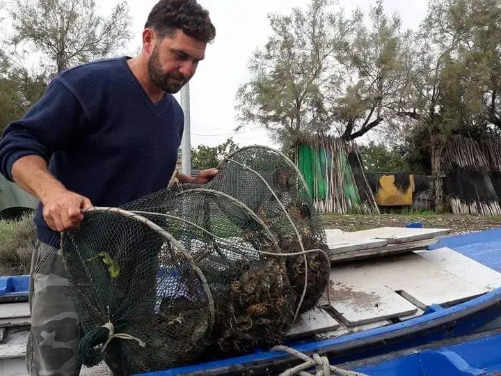 La pesca delle moeche