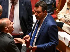 Matteo Salvini