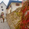 I paesaggi autunnali del Trentino (foto Trentino Marketing)