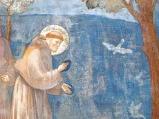 San Francesco dipinto da Giotto nella Basilica inferiore di San Francesco d’Assisi