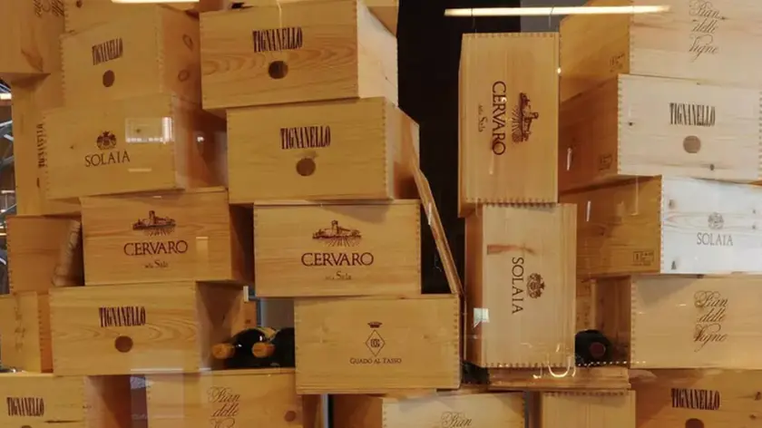 Maxi-furto da 5 milioni alla Marchesi Antinori, rubate 30.000 bottiglie di vino