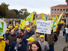 Alcune immagini della manifestazione della Coldiretti a Venezia (Foto Interpress)