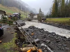 i danni di Vaia nel Bellunese