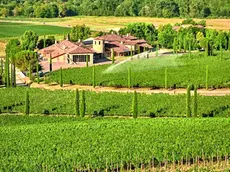 La cantina Jermann a Ruttars, in Comune di Dolegna
