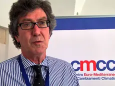 Alberto Marcati