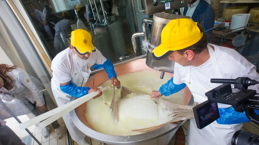 22/05/2015 Milano, Lavorazione del Grana Padano