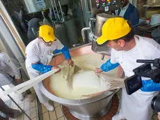 22/05/2015 Milano, Lavorazione del Grana Padano