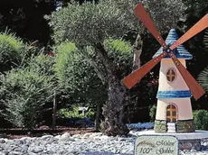 Nel giardino di casa Gobbo, un modello di mulino a vento costruito artigianalmente da un’azienda francese (foto di Carlo Verardo)