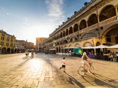 Enrico Luz per il concorso Padova Meraviglia