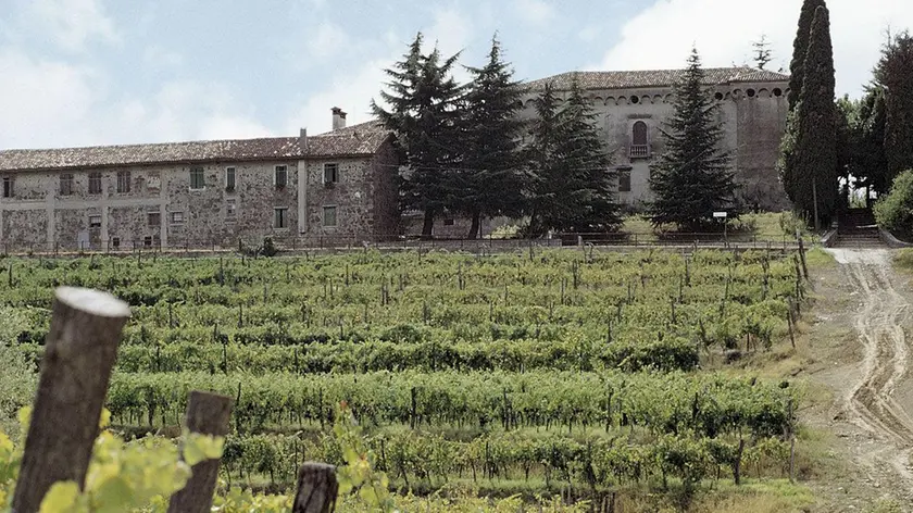 Torre Rosazza, tenuta vitivinicola di Genagricola in Fvg