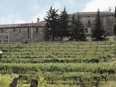 Torre Rosazza, tenuta vitivinicola di Genagricola in Fvg