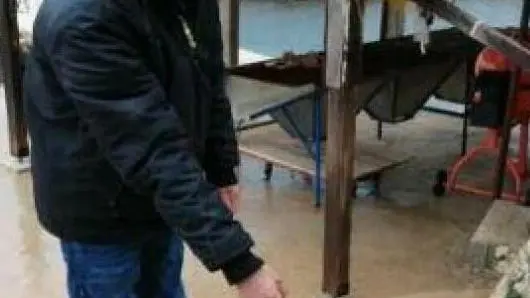 Un allevatore indica una partita di cozze morte F. Slobodna Dalmacija