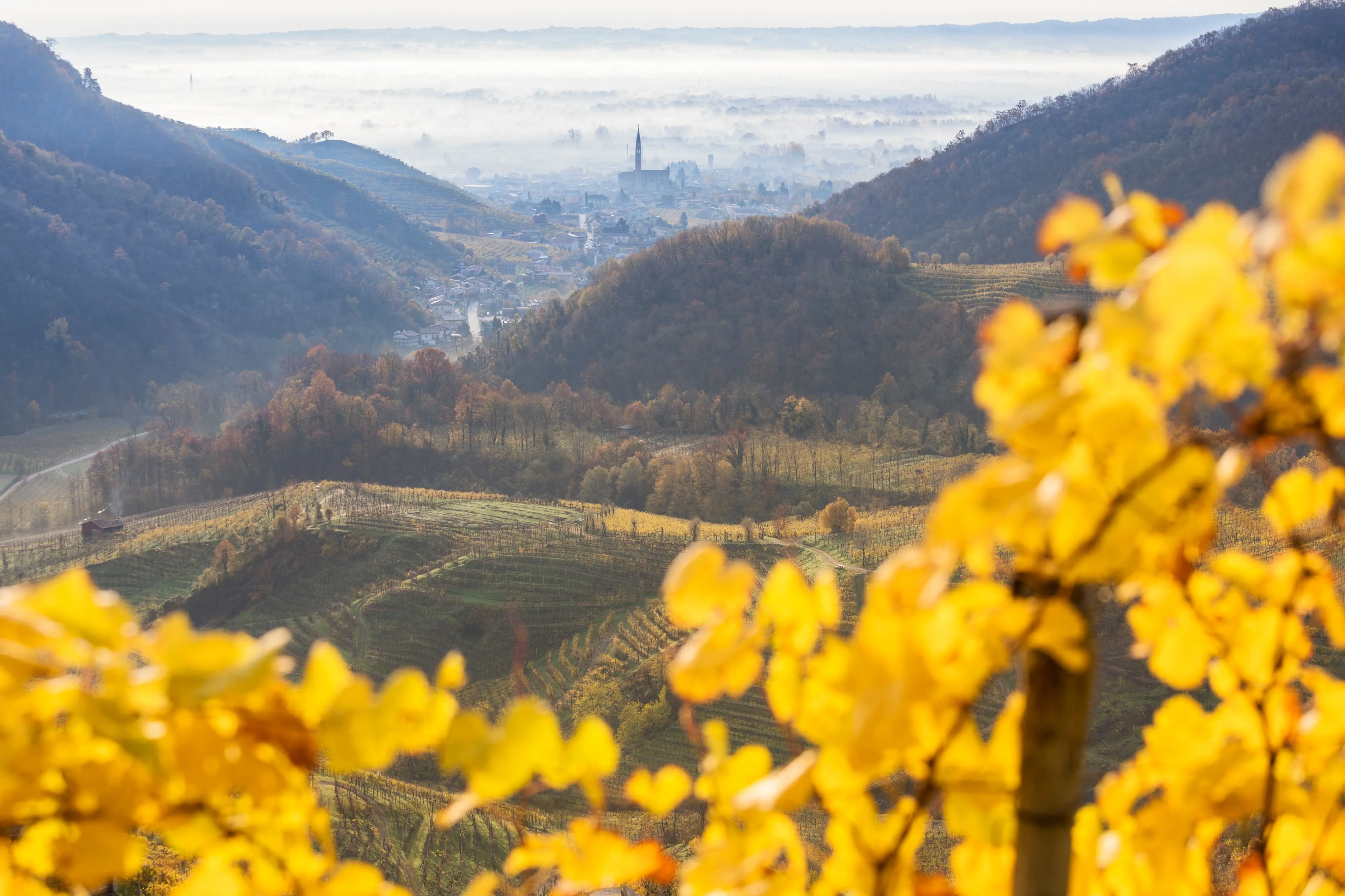 the village of Col San Martino (Farra di Soligo) framed by the yellow leaves of the vineyards, as seen from the road of wine, Valdobbiadene, Treviso, ...