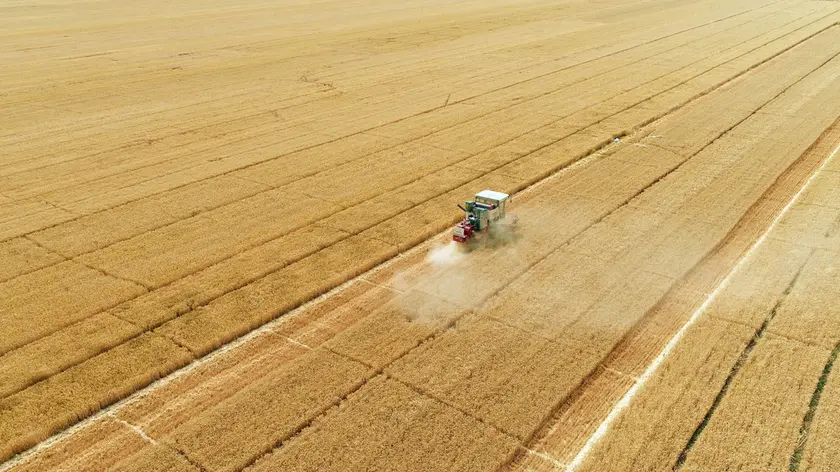 10/06/2017 Raccolta, mietitura del grano