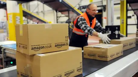 epa02503792 An employee of the online-retailer Amazon puts packages onto a conveyor band at the logistics centre in Bad Hersfeld, Germany, 20 December 2010. The recent weather causes many problems concerning the delivery of Christmas packages. EPA/UWE ZUCCHI